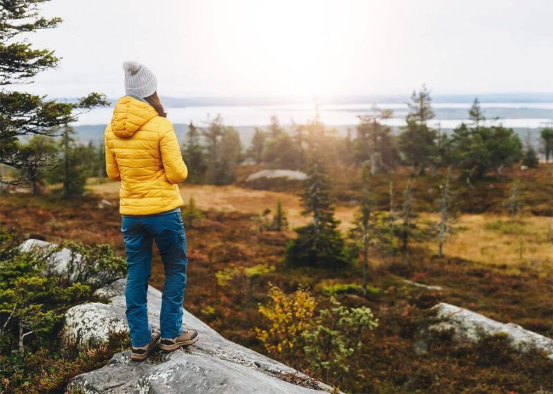 rovaniemi-wild-moose-safari