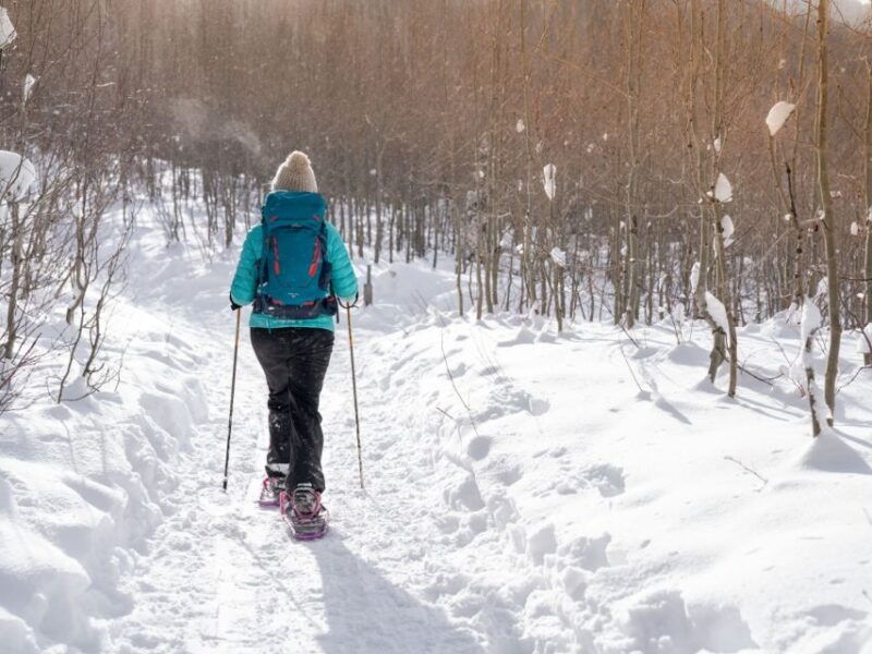 rovaniemi-wilderness-snowshoes-expedition-tour-barbeque