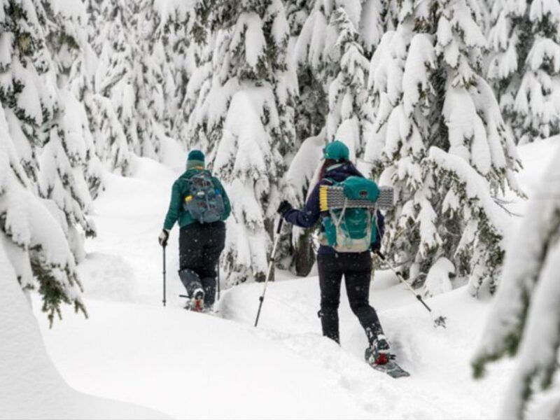 rovaniemi-wilderness-snowshoes-expedition-tour-barbeque