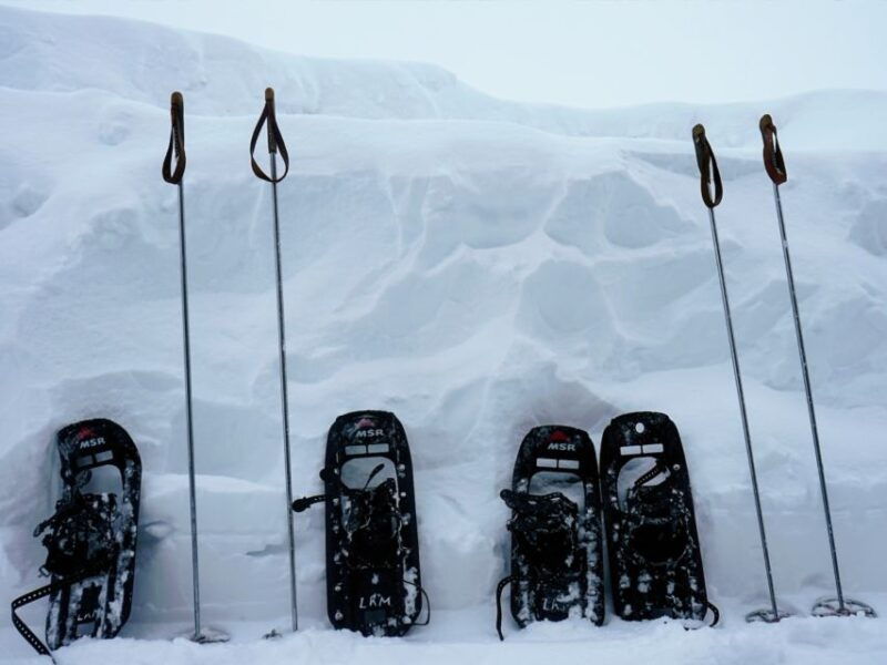 rovaniemi-wilderness-snowshoes-expedition-tour-barbeque