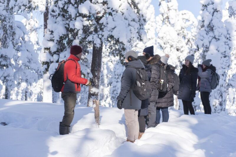 rovaniemi-wilderness-tour