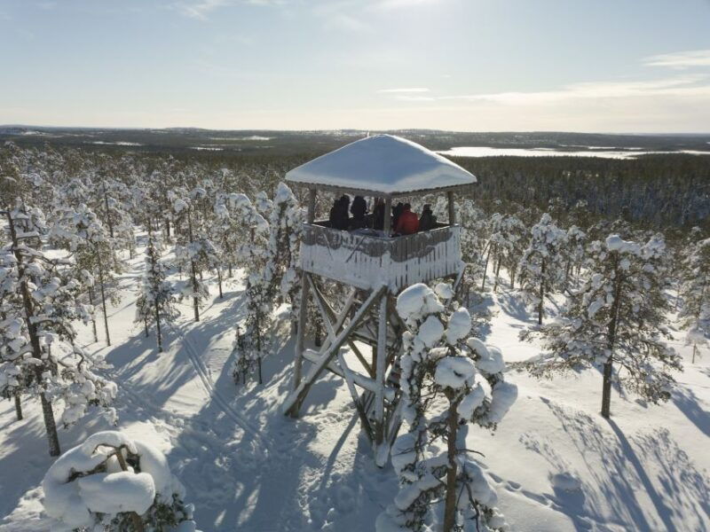rovaniemi-wilderness-tour