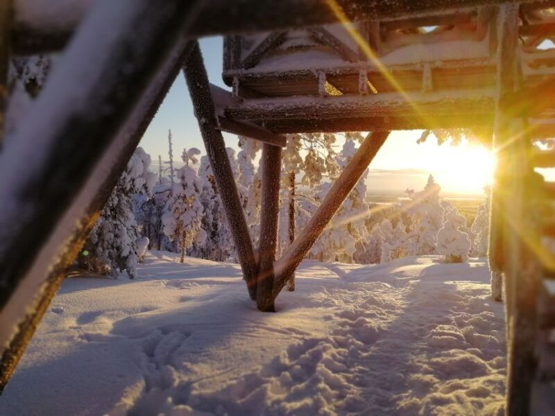 rovaniemi-wilderness-tour