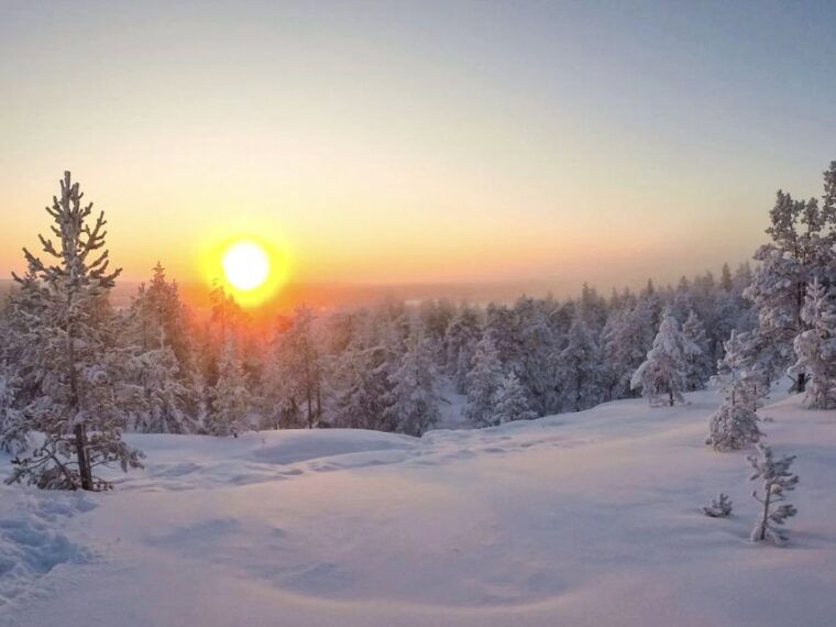 rovaniemi-wilderness-tour
