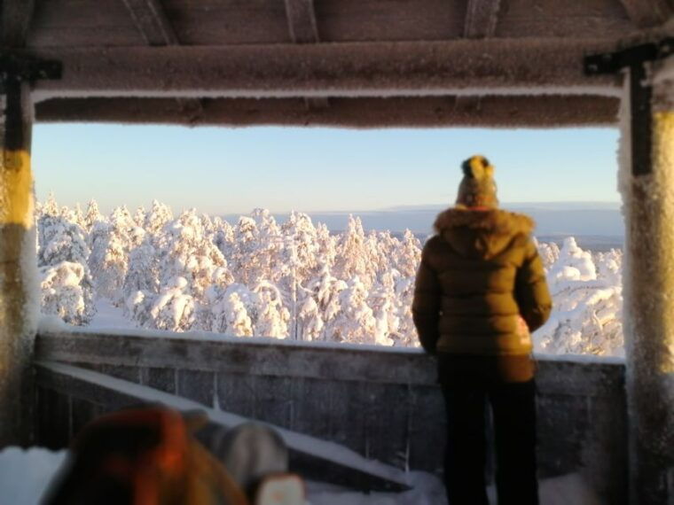 rovaniemi-wilderness-tour