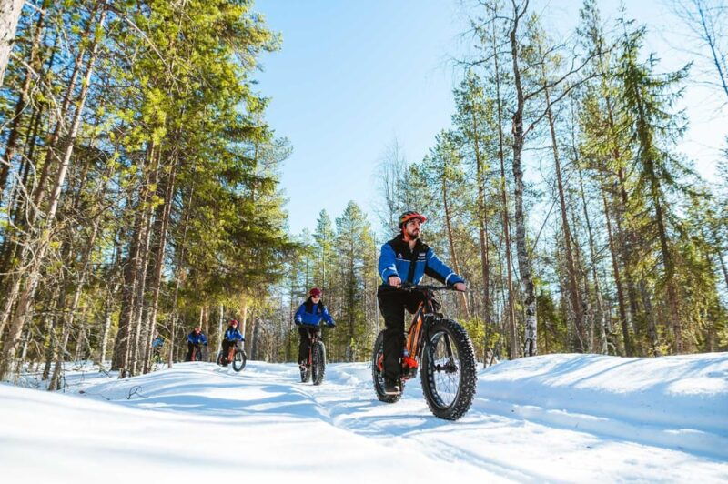rovaniemi-winter-efatbike-tour-in-snowy-forest