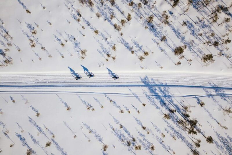 rovaniemi-winter-efatbike-tour-in-snowy-forest