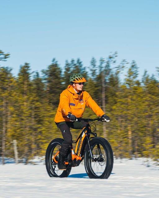 rovaniemi-winter-efatbike-tour-in-snowy-forest