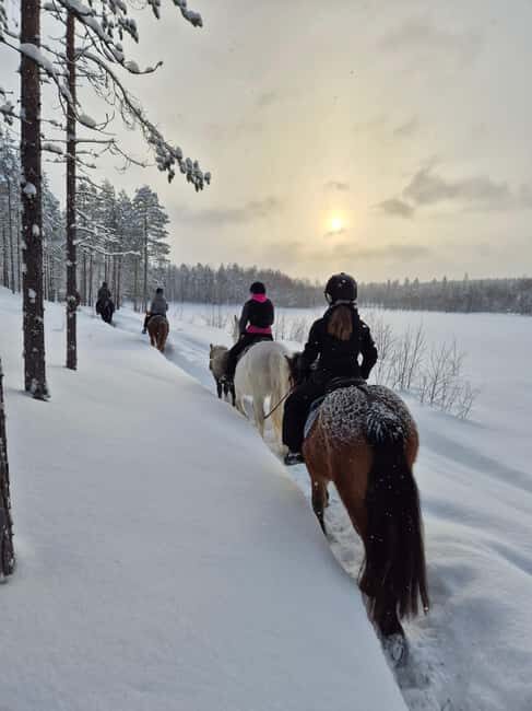 Rovaniemi: Winter Horseback Ride on Snowy Hills and Forests - An Adventure Through Snowy Landscapes on Horseback
