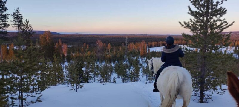 Rovaniemi: Winter Horseback Ride on Snowy Hills and Forests - Who Will Enjoy This?