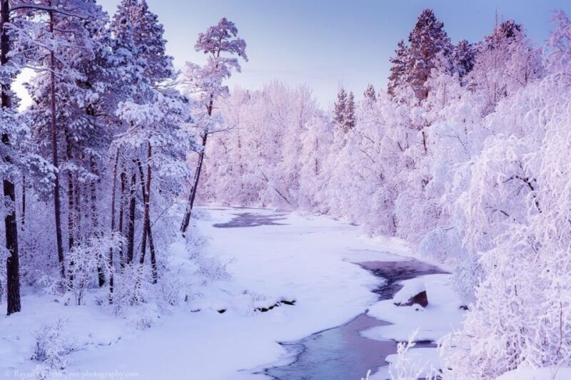 rovaniemi-winter-snowshoeing-reindeer-husky-sleigh-ride