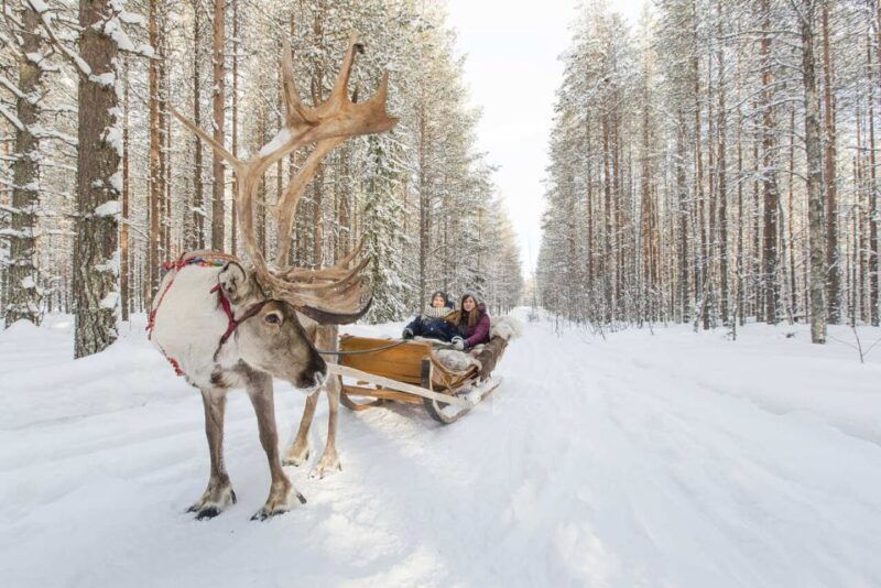 rovaniemi-winter-snowshoeing-reindeer-husky-sleigh-ride