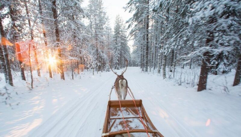 rovaniemi-winter-snowshoeing-reindeer-husky-sleigh-ride