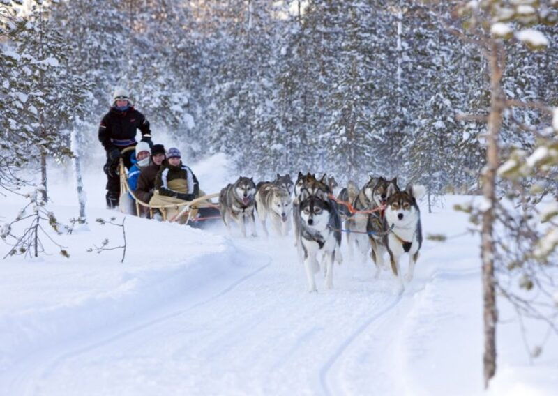 rovaniemi-winter-snowshoeing-reindeer-husky-sleigh-ride