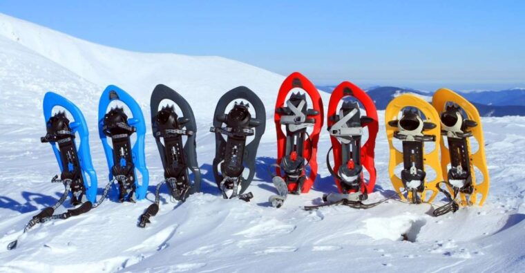rovaniemi-winter-snowshoeing-reindeer-husky-sleigh-ride
