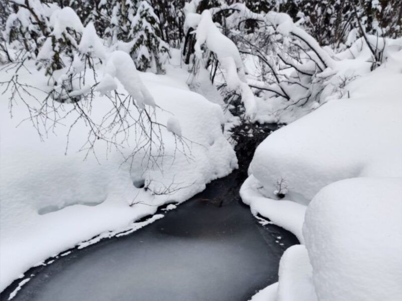 rovaniemi-winter-wonderland-vikakongas-hike-barbeque