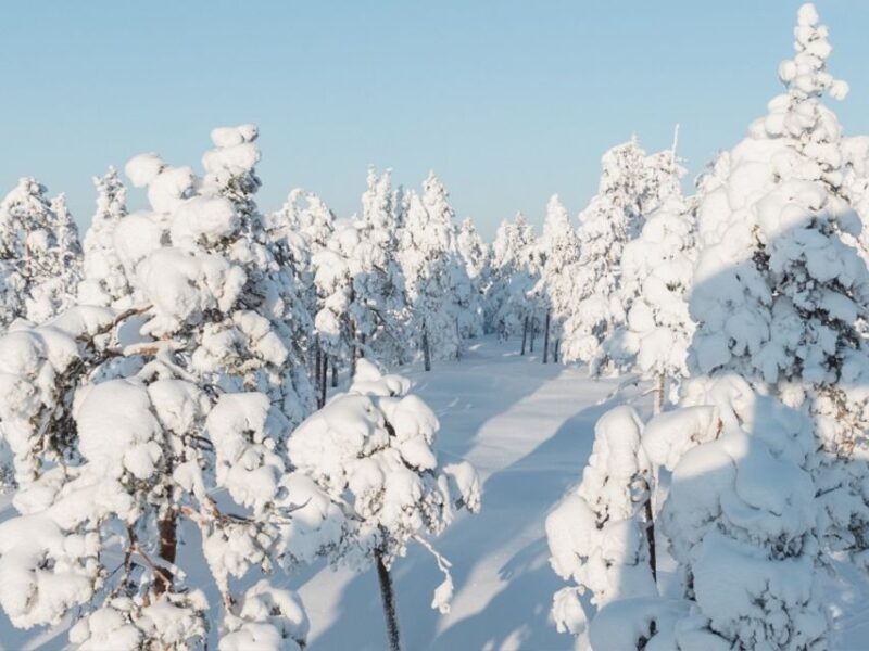 rovaniemi-winter-wonderland-vikakongas-hike-barbeque