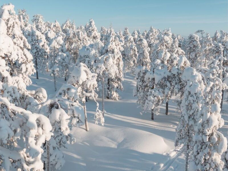 rovaniemi-winter-wonderland-vikakongas-hike-barbeque