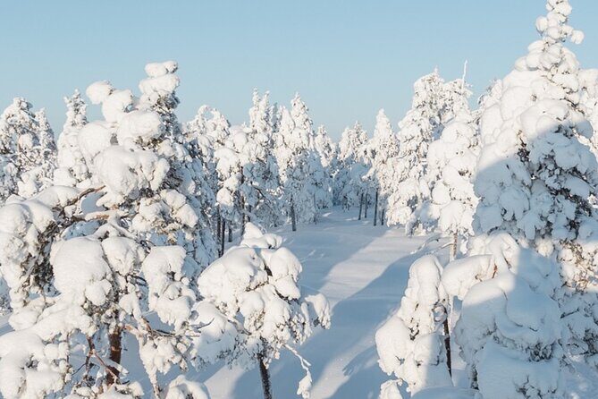 Rovaniemi: Winter Wonderland Vikaköngäs Hiking Tour & BBQ - The Value of the Experience