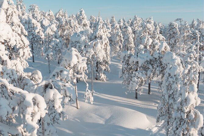 Rovaniemi: Winter Wonderland Vikaköngäs Hiking Tour & BBQ - Final Thoughts