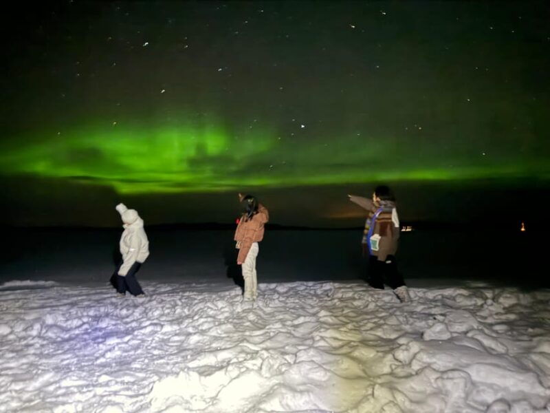 rovanieminorthern-lights-hunt-in-lapland-wilderness