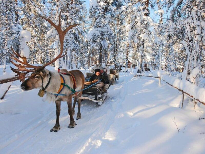 rovaniemis-magical-christmas-tour-santas-home