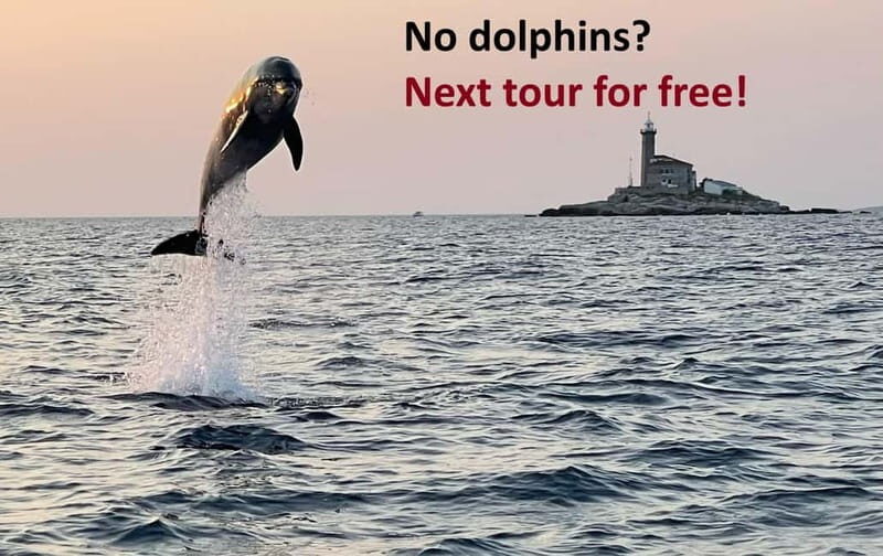 Rovinj: Dolphin Watching Sunset Speedboat Tour with Drinks - What to Expect: A Closer Look at the Tour