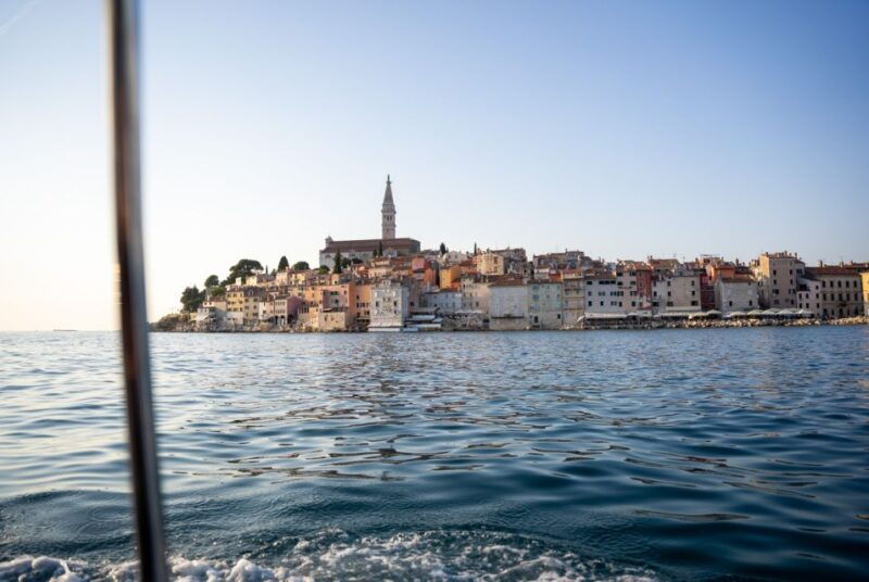 rovinj-dolphin-watching-sunset-speedboat-trip-with-drinks