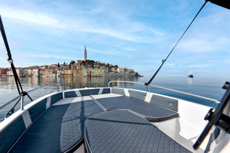 rovinj-dolphin-watching-sunset-speedboat-trip-with-drinks
