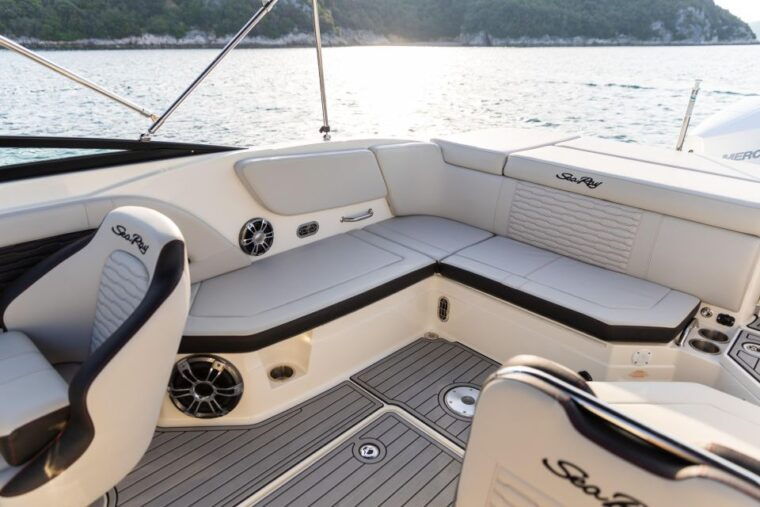 rovinj-dolphin-watching-sunset-speedboat-trip-with-drinks