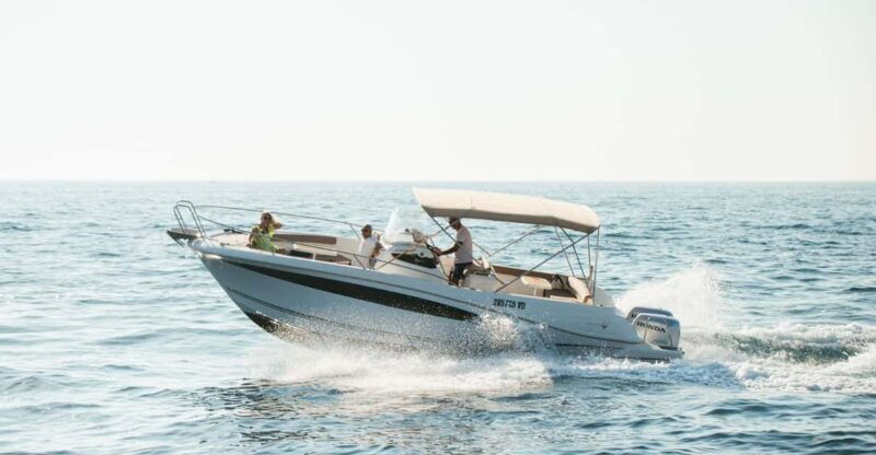 rovinj-family-friendly-dolphin-watching-tour