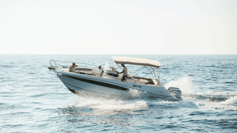 rovinj-family-friendly-dolphin-watching-tour