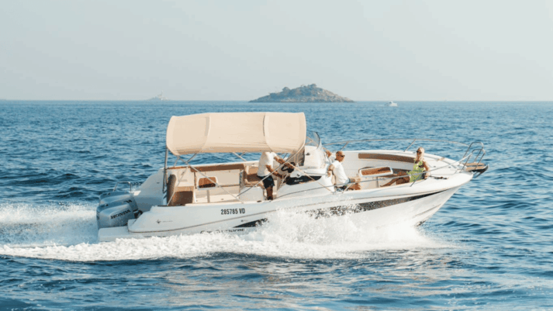 rovinj-family-friendly-dolphin-watching-tour