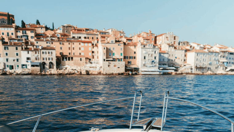 rovinj-family-friendly-dolphin-watching-tour