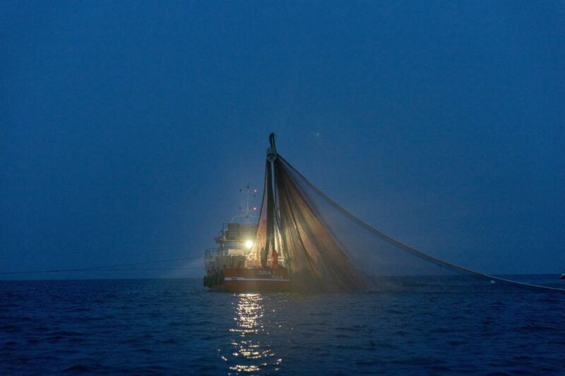 rovinj-sunrise-dolphins-fishermen-at-work-speedboat-tour