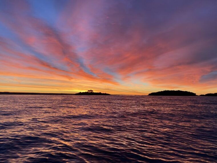 rovinj-sunrise-dolphins-fishermen-at-work-speedboat-tour