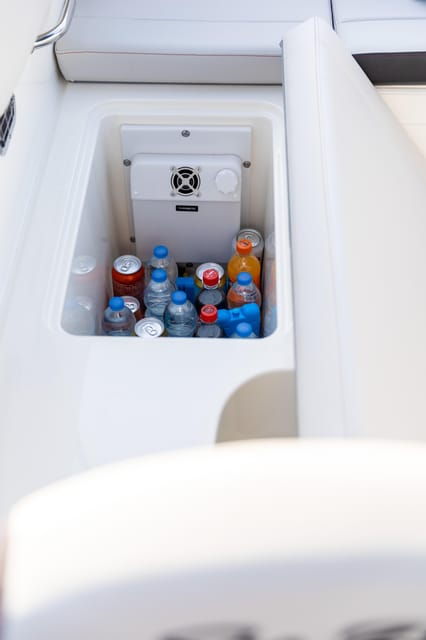 rovinj-sunset-dolphin-watching-island-swimming-boat-tour