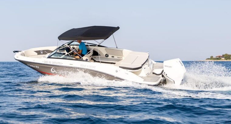 rovinj-sunset-dolphin-watching-island-swimming-boat-tour