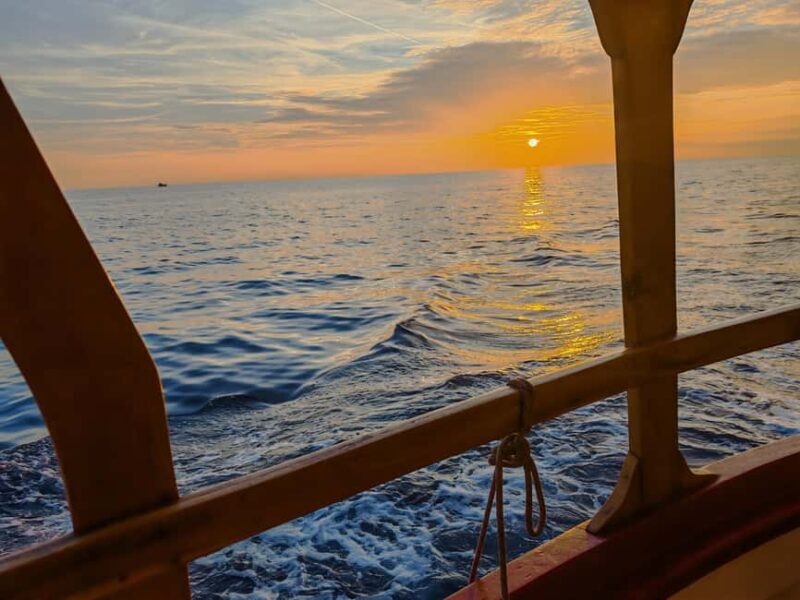 Rovinj: Sunset Lim Fjord Tour with BBQ, Swimming & Dolphins - Final Thoughts