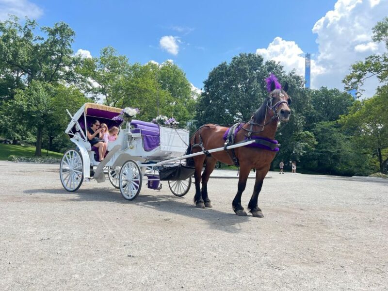 Royal Carriage Ride in Central Park NYC - Final Thoughts