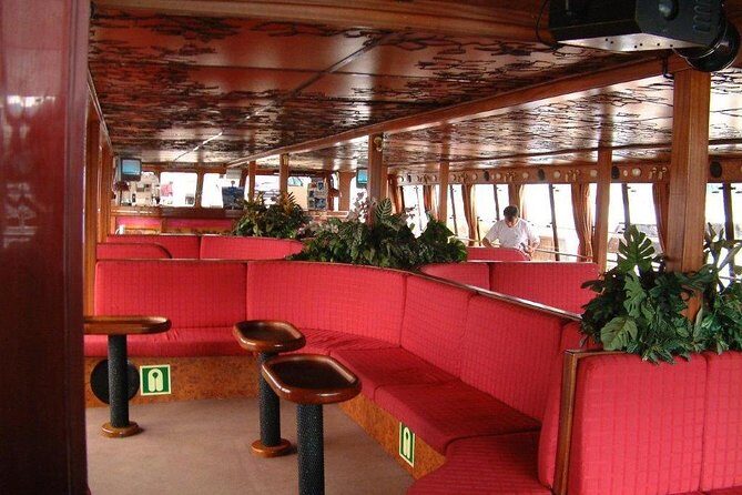 Royal Delfin - 2Hour Sustainable Dolphin & Whale Watching Mini Cruise - The Sum Up