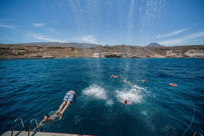 royal-delfin-3h-dolphin-whale-watching-swimming-lunch