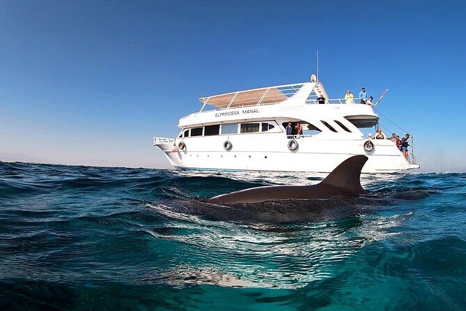 Royal Dolphin House Sea Trip Hurghada - The Sum Up