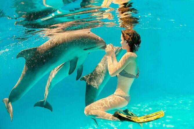 ROYAL Dolphin House & Water Sports Snorkeling Sea Trip - Hurghada - A Full Breakdown of the Experience