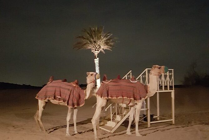 Royal Fortress Fine Dining Desert Safari - The Luxurious Dinner & Cultural Performances