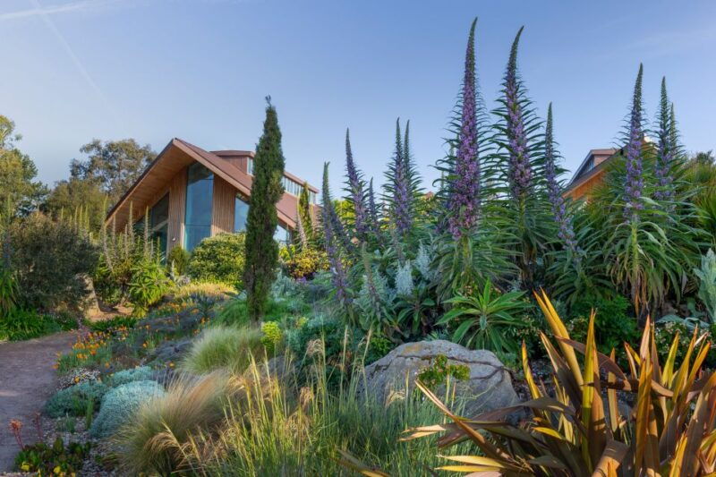 royal-horticultural-society-hyde-hall-garden-ticket