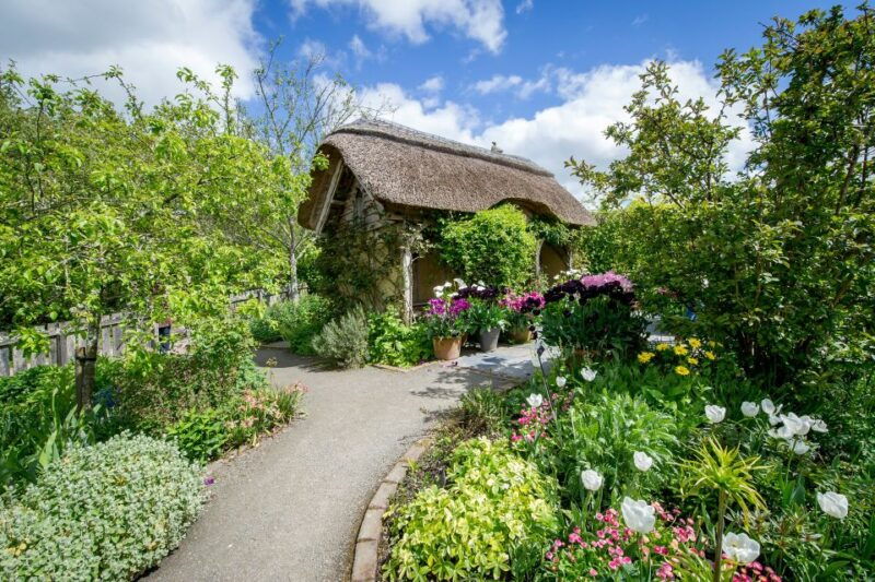 royal-horticultural-society-rosemoor-garden-ticket