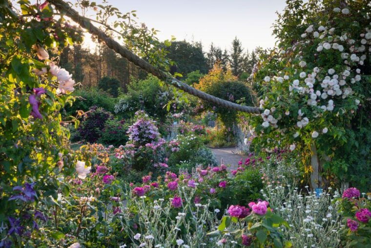 royal-horticultural-society-rosemoor-garden-ticket