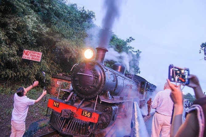 Royal Livingstone Dinner Express Train - The Experience in Detail