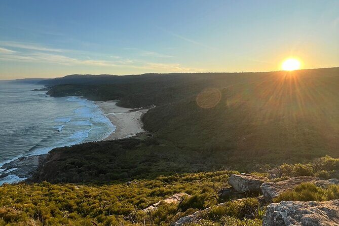 Royal National Park Private Tour & with Pick and Drop Off - Key Points